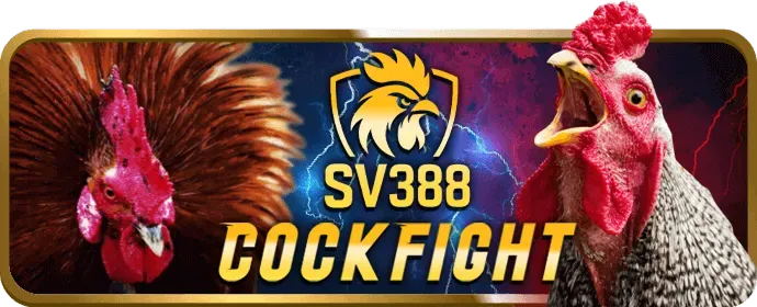 Cấp Bậc Bạc VIP